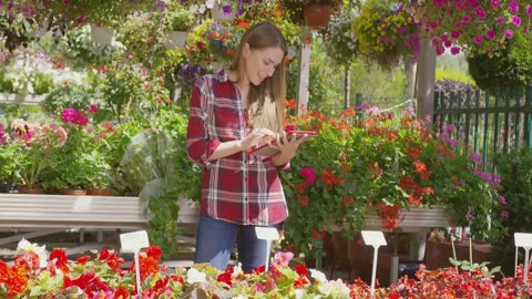 A Beginner's Guide to Understanding Herbal Categories