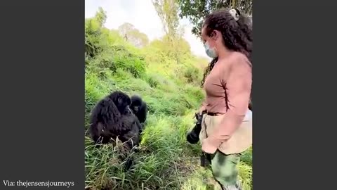 Wild Animals Surprise Photographers in the Cutest & Funniest Ways! 🤪 | 2025 Funny Moments