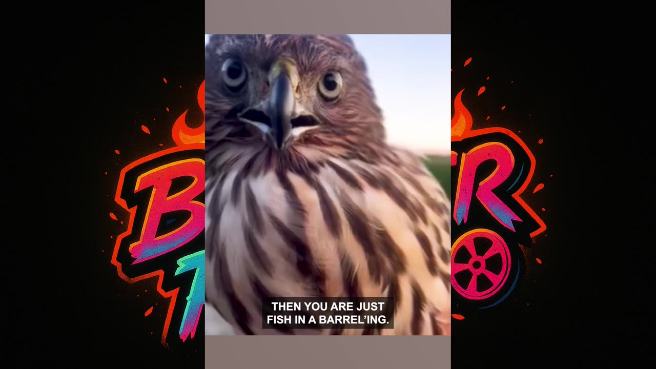 🦅😂"Angry Farmer vs Hilarious Hawk - You Won't Believe What Happens!"