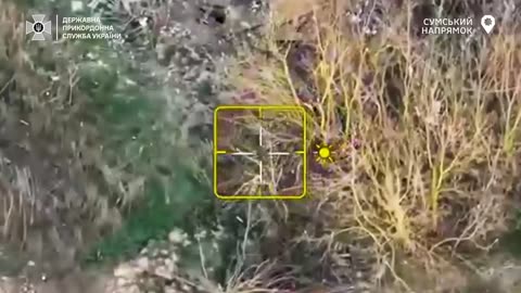 Drones of the "Steel Border" repelled another assault in the Sumy direction FPV