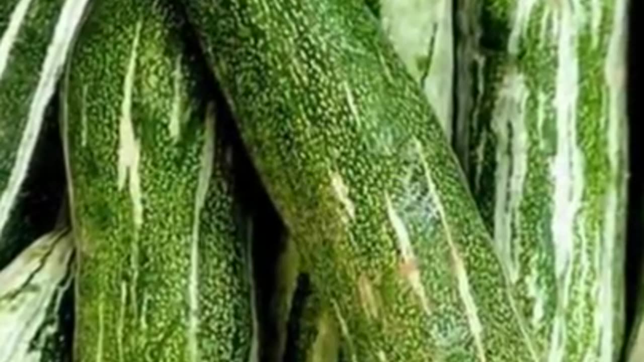 Two benefits of eating snakegourd
