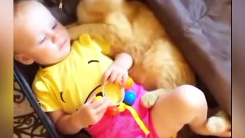 Pets interacting with babies | Pets and babies | Best of the interne