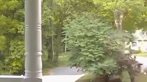 When It’s Just NOT Your Day! 😂 Epic Fails Inside!
