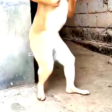 What a beautiful dance!