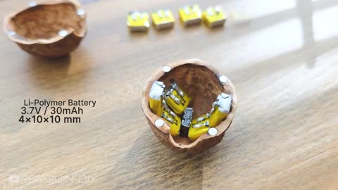 Not Just a Walnut — It’s a Secret Camera I Created!