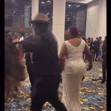Diversity at gala event, fights