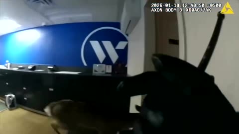 Police restrain deer after it breaks into New York bank
