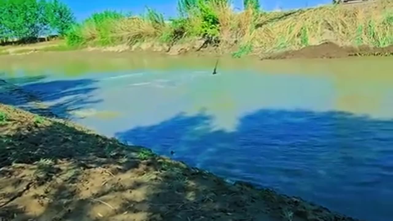 🤯✨ Incredible Skill! Crane Operator Throws Bucket Like a Pro | FeedMyCuriosity