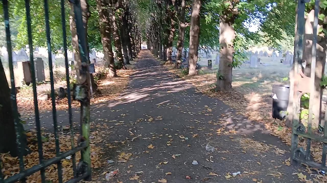 Bins left at cemetery gates & dead rat today