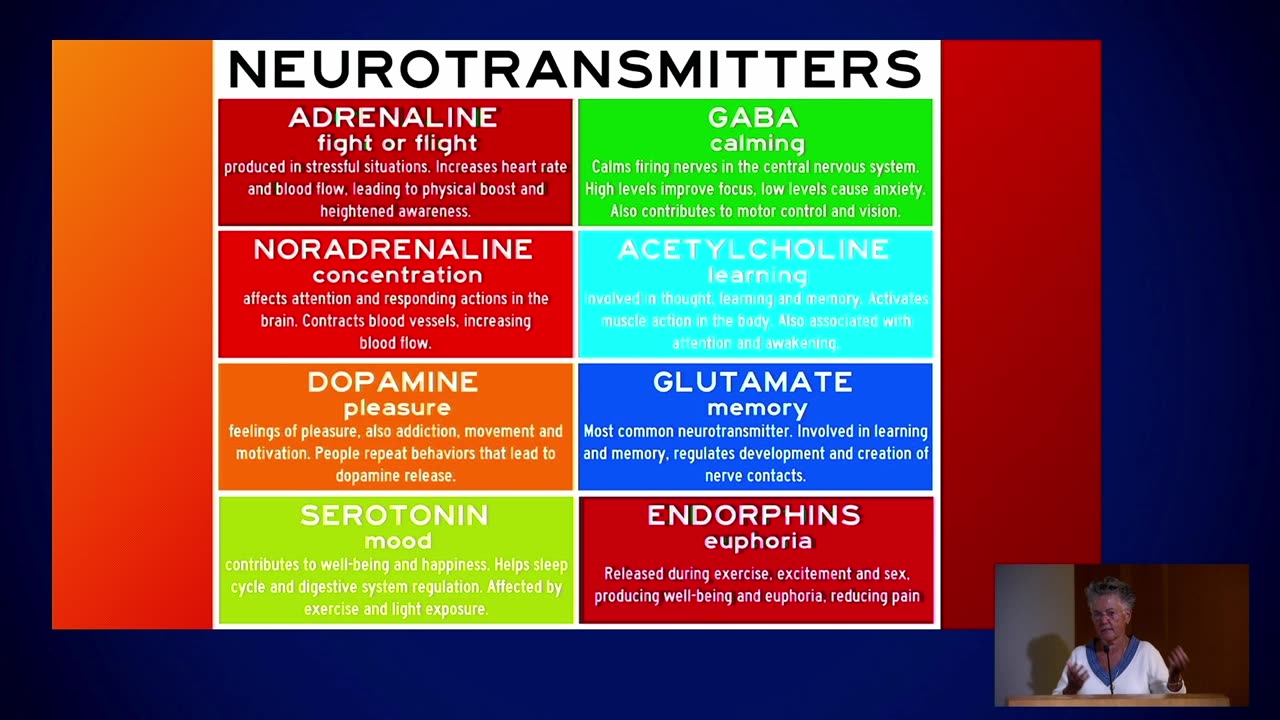 Session 3 - The Gut and Brain Connection