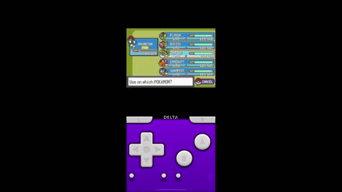 Pokémon Emerald Gameplay (11)
