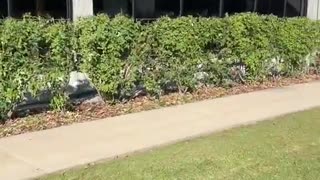 Cleanup Bros - White Collar Demo Crew? (CHECK MAIN ARTICLE SO MANY UPDATES)
