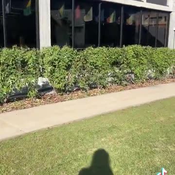 Cleanup Bros - White Collar Demo Crew? (CHECK MAIN ARTICLE SO MANY UPDATES)