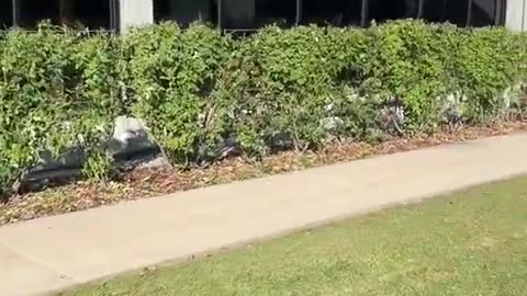 Cleanup Bros - White Collar Demo Crew? (CHECK MAIN ARTICLE SO MANY UPDATES)