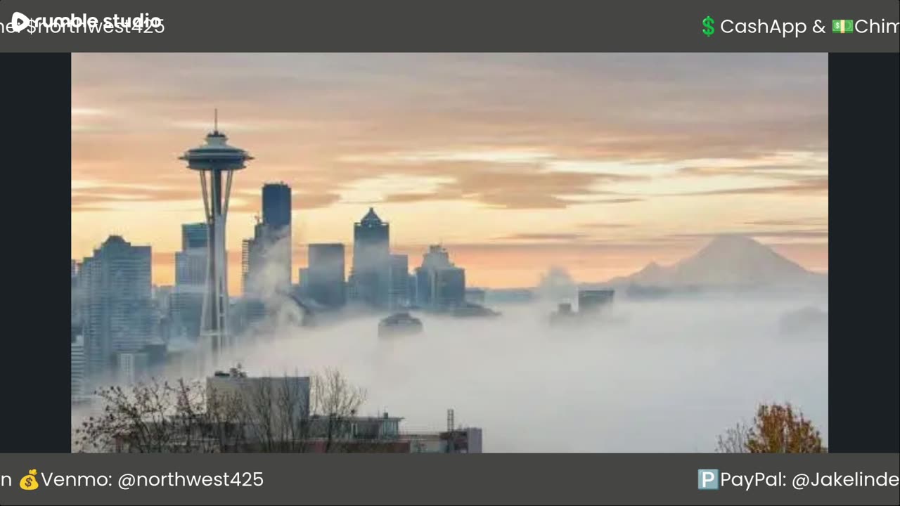 STREAM OF SILENCE 🔕✨