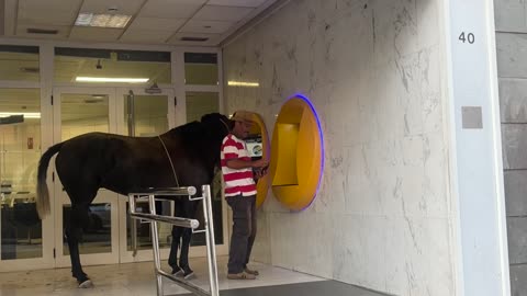 Man Brings His Horse to the ATM