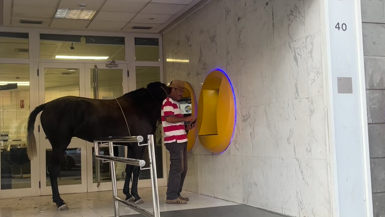 Man Brings His Horse to the ATM