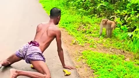 viral Monkey funny video 2025 #hawtulla #reelsvideo #topreels2025 #newreelslシ #reelsviral #fypvi