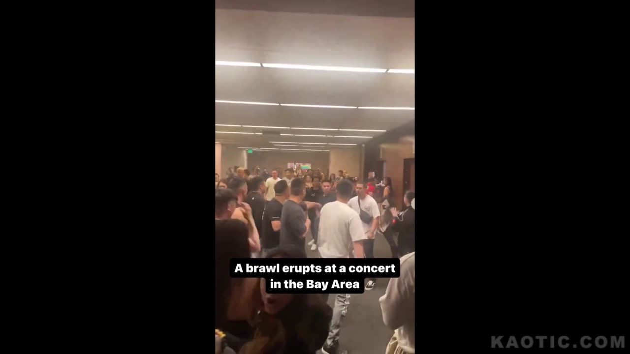 Asian gangs fighting at California concert