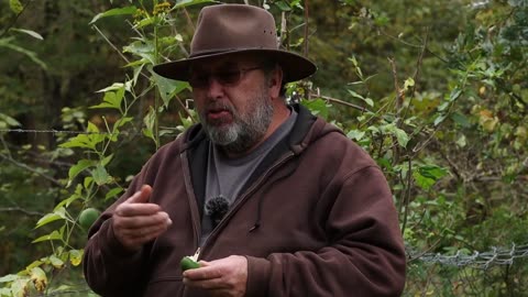 Secrets of Appalachian Foraging / Edible Fruits of Autumn