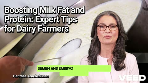 Boosting Milk Fat & Protein:Expert Tips for Dairy Farmers