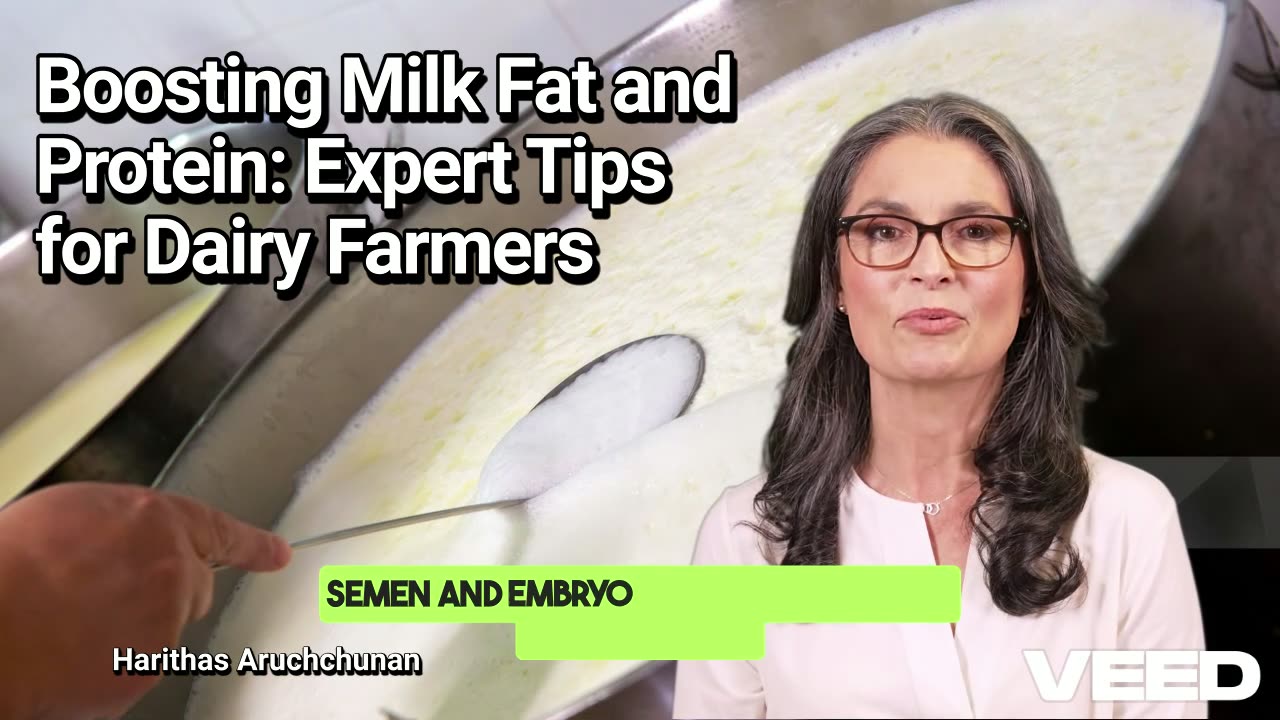 Boosting Milk Fat & Protein:Expert Tips for Dairy Farmers