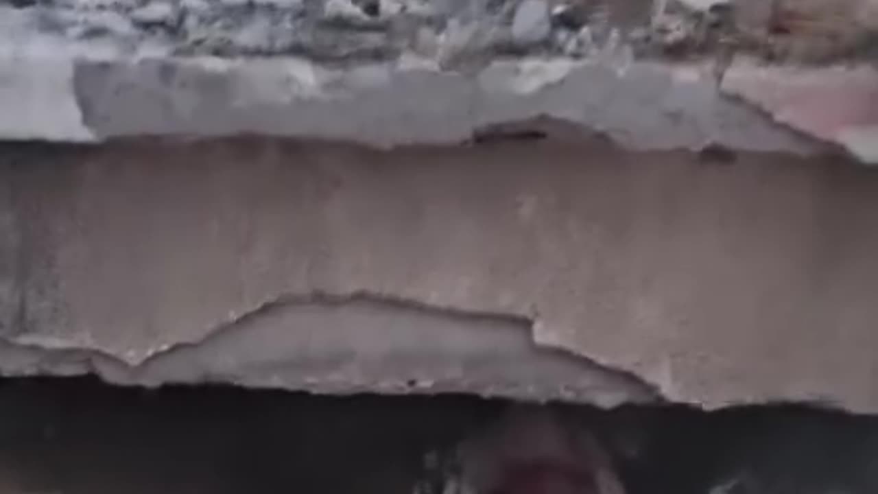 Horrific scenes from Beit Lahya in the north of Gaza