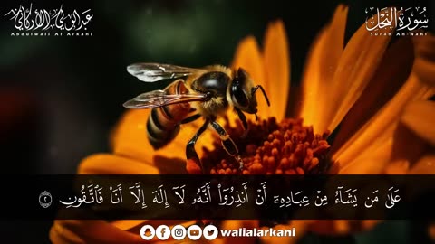 سورة النحل ( كاملة ) للقارئ عبد الولي الاركاني _ ABDULWALI ALARKANI Surah An-Nahl
