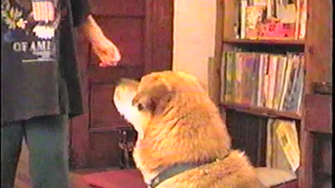 2000-VA-Azlyn-1