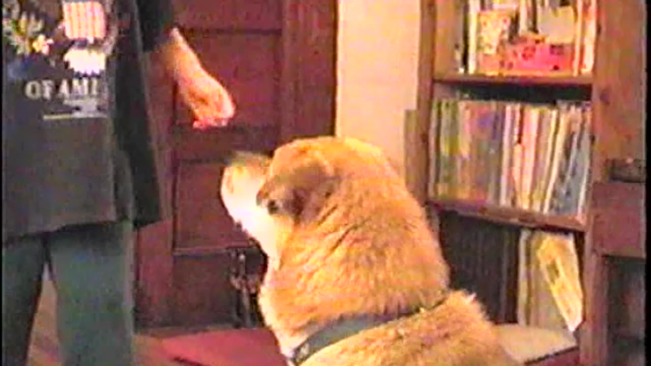 2000-VA-Azlyn-1