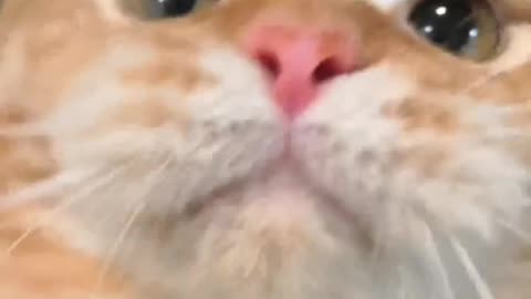 What a zoooom in face view lol