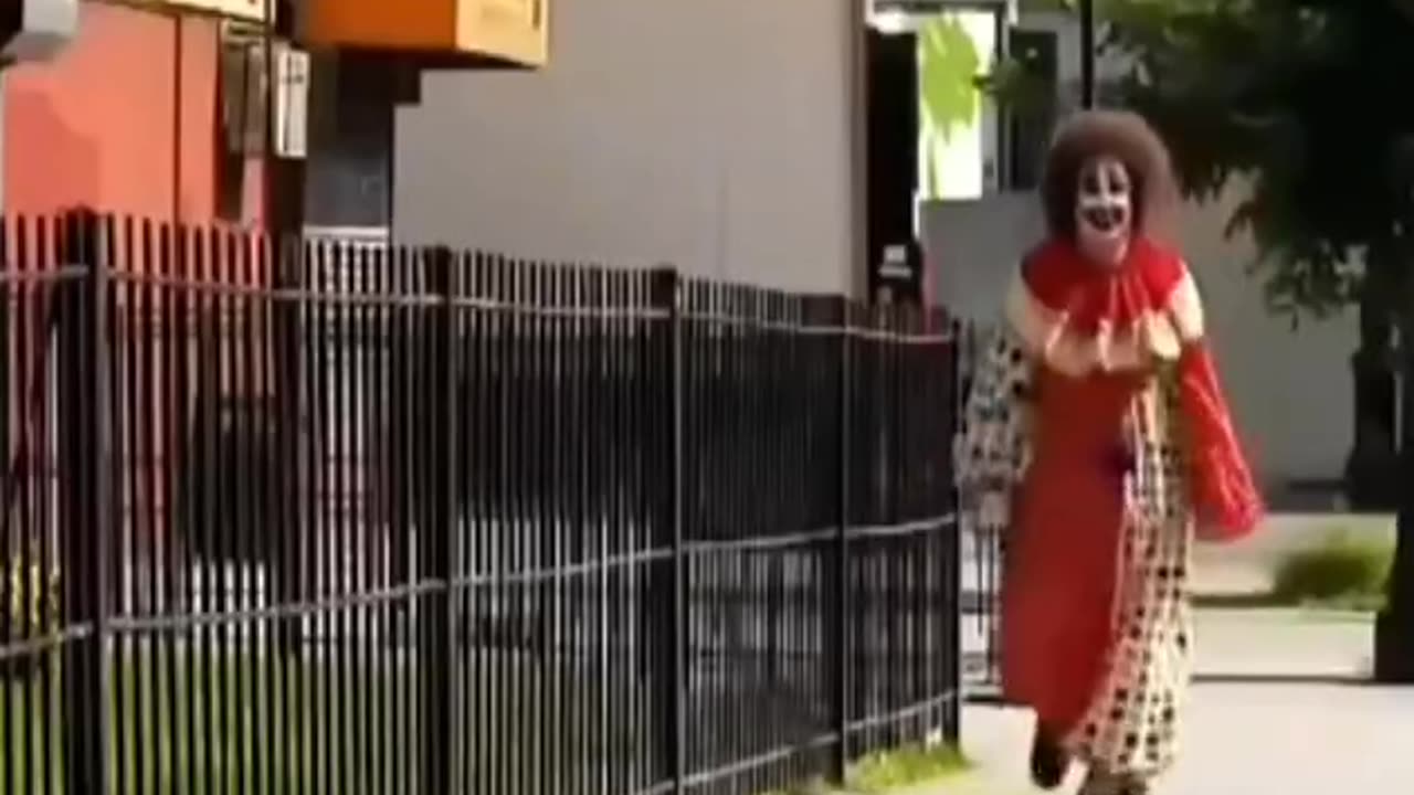 Remédio pra doido é outro doido