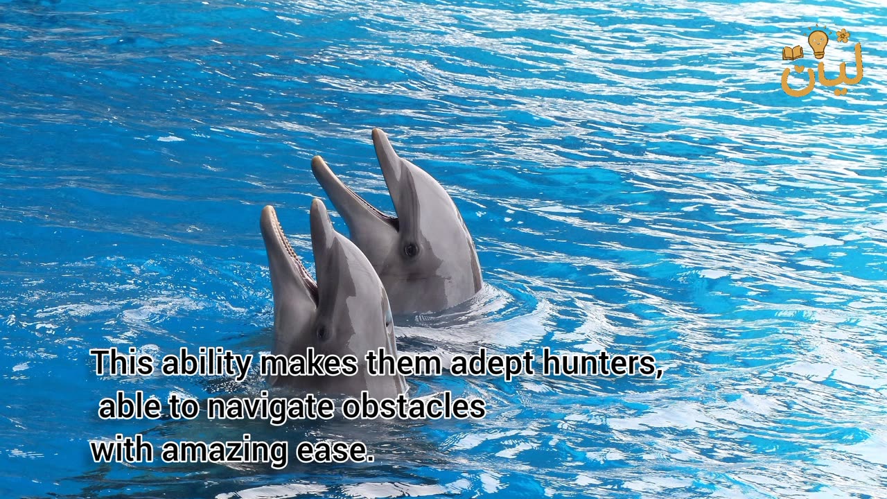 هل تعلم أن الدلفين أذكى من الإنسان؟ 🤯 | Dolphin Intelligence Revealed!