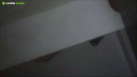 nastya s daily routine