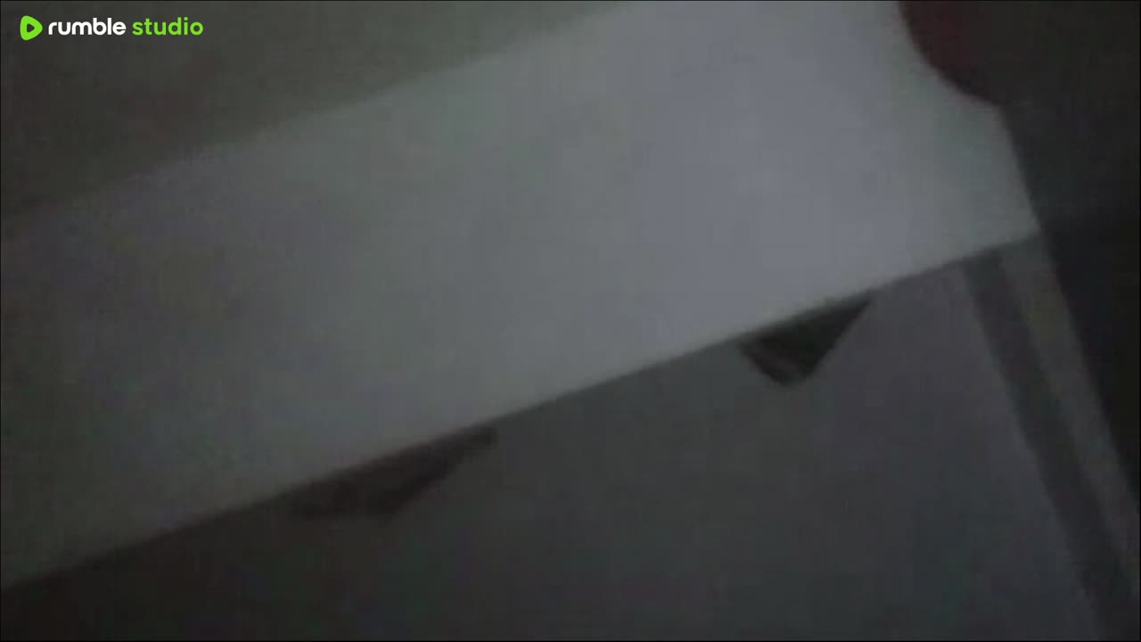 nastya s daily routine
