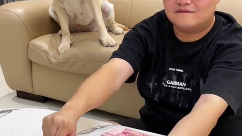 Funny video