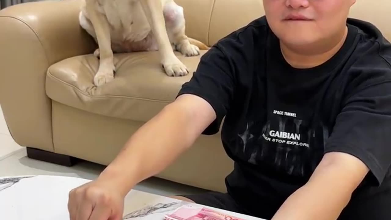 Funny video