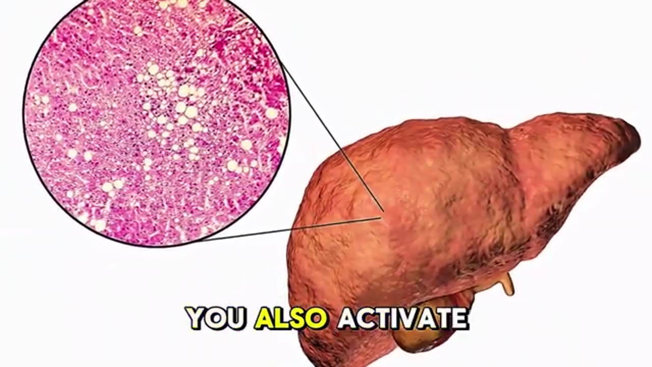 Daily Wellness Routine: 5-Minute Liver‑Support Rituals Before Bed