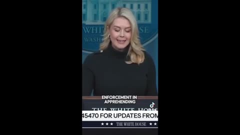 Leavitt on Minn and illegals ..