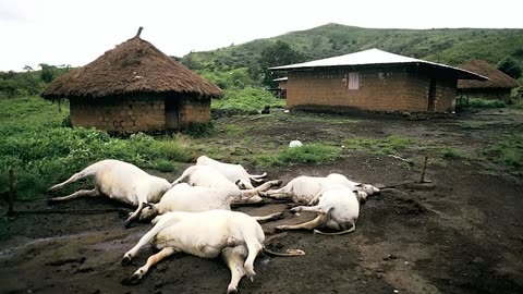The Nyos Killer Lake Eruption Disaster 1986