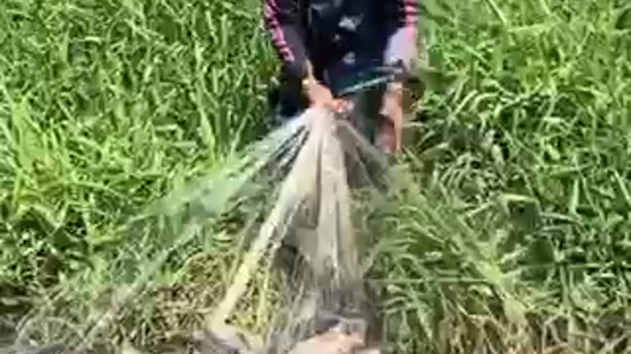 OMG fishing 🐠🐟