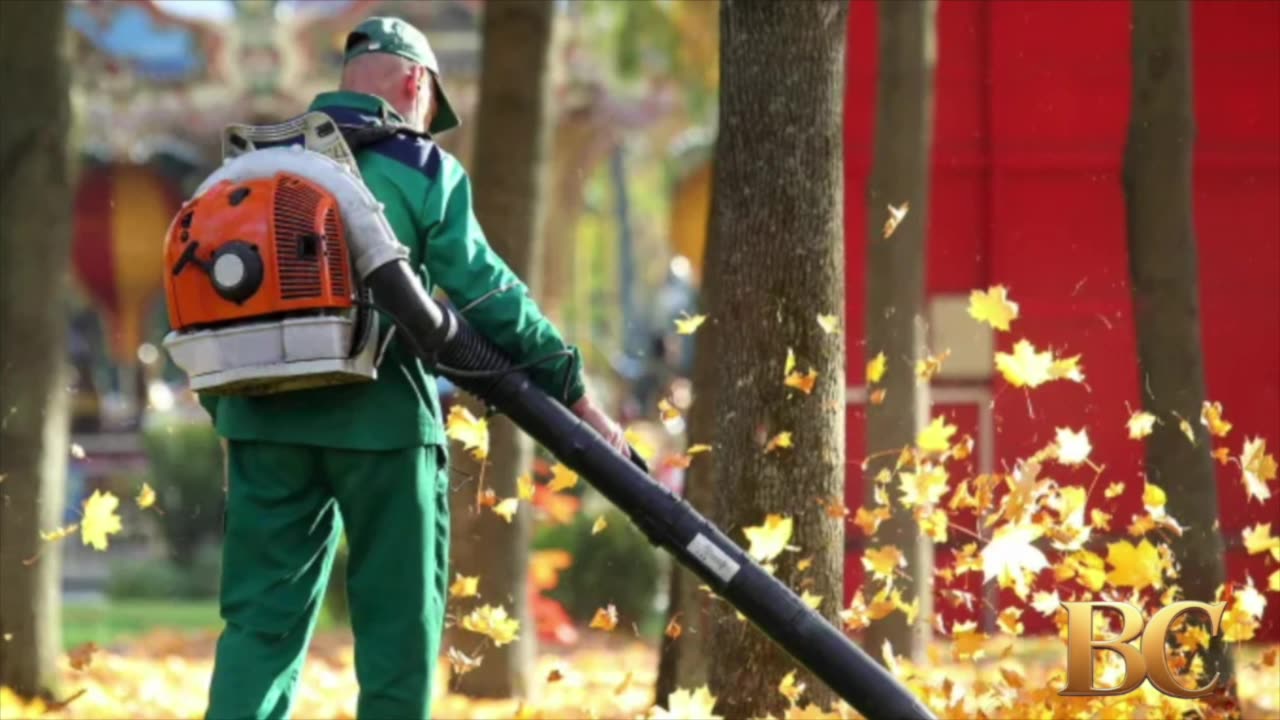 Massachusetts law will fine homeowners $200 for common yard maintenance practice