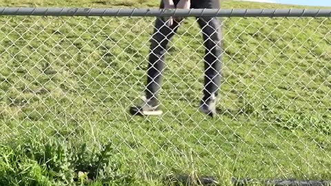 How Animals Get Over a Fence (With Emojis) 😂