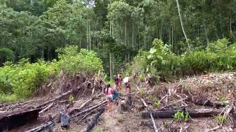 Death Blow in Borneo