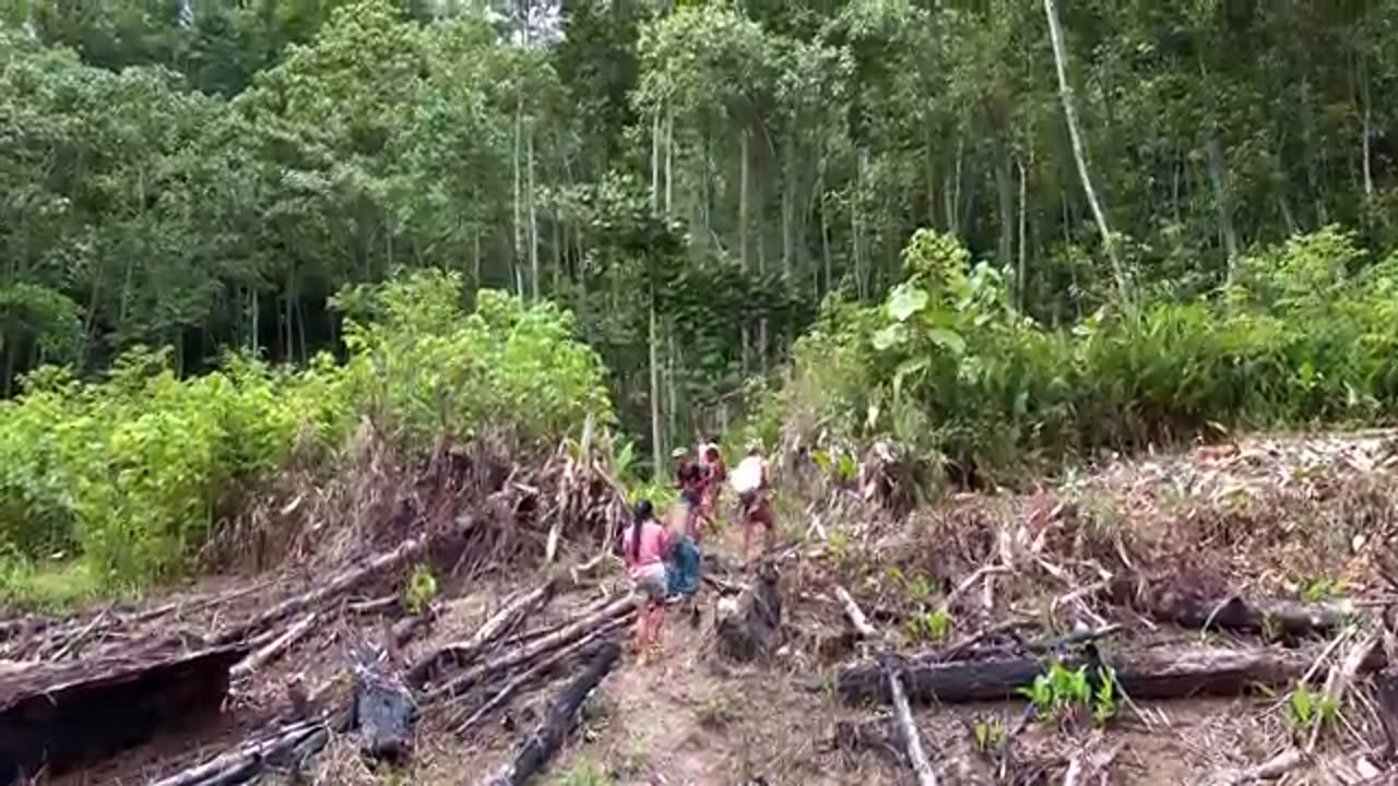Death Blow in Borneo