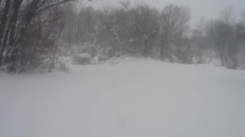 MSN THE ZONE HITMAN RRWRITE EULA ASSEMBLY