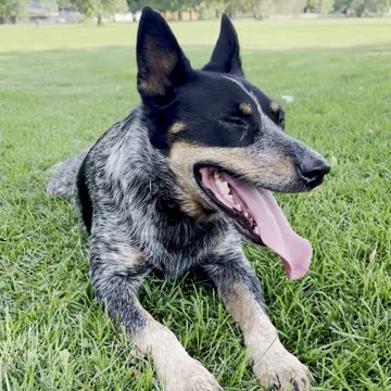 lets catch our breath 23908420984