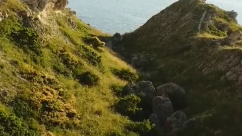 Medmerry Managed Retreat!