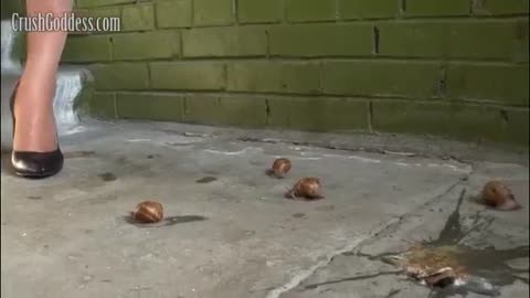Pumps Crush Snails