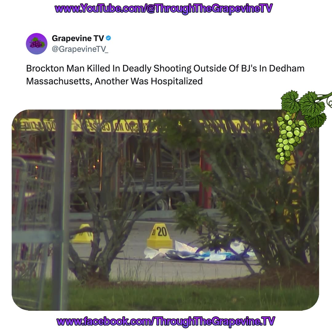 Brockton Man Killed In Deadly Shooting Outside Of BJ's In Dedham ...